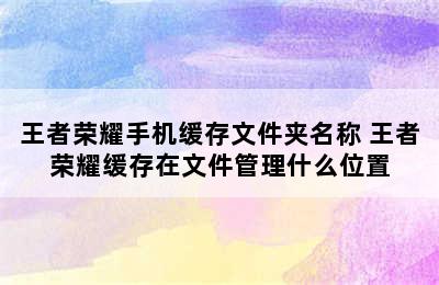 王者荣耀手机缓存文件夹名称 王者荣耀缓存在文件管理什么位置